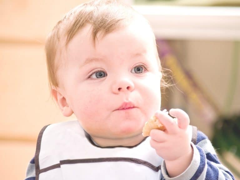 Baby led Weaning atragantamientos