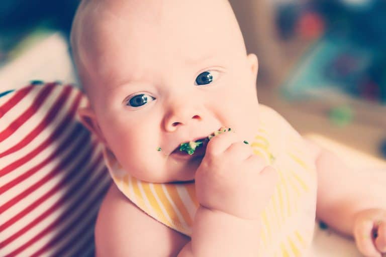 Baby-led Weaning