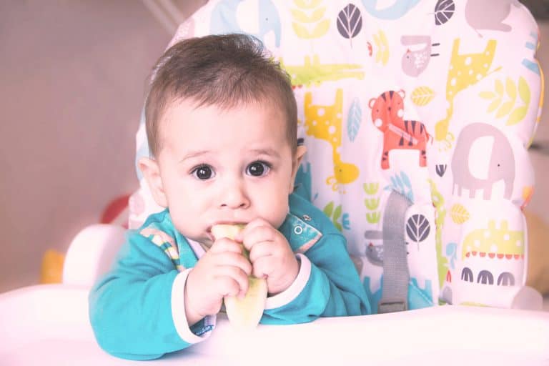 Cuchara bebe aprendizaje Rosa, Blw bebés, Baby led weaning