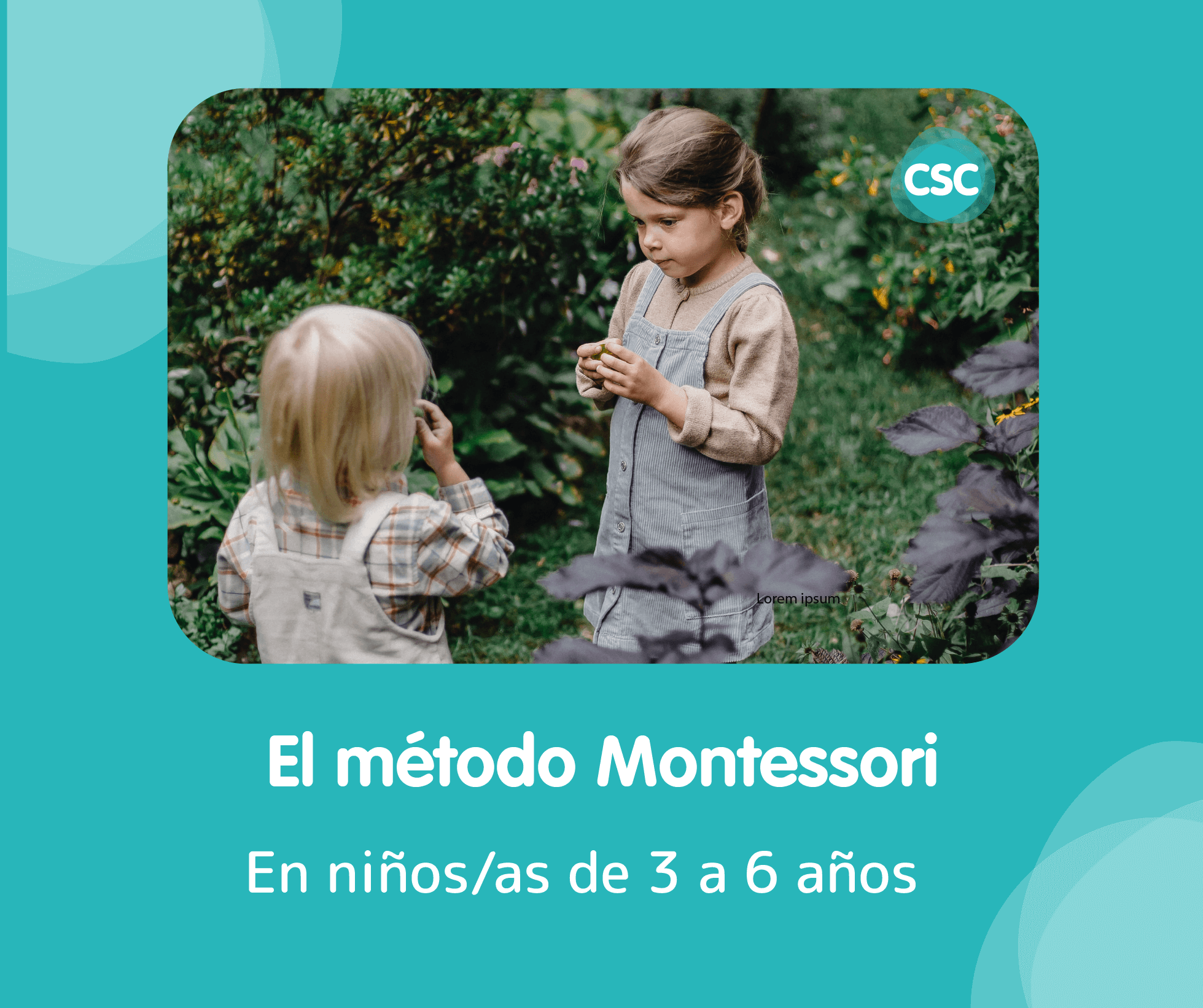 Montessori de 0 a 3 años - El Metodo Montessori