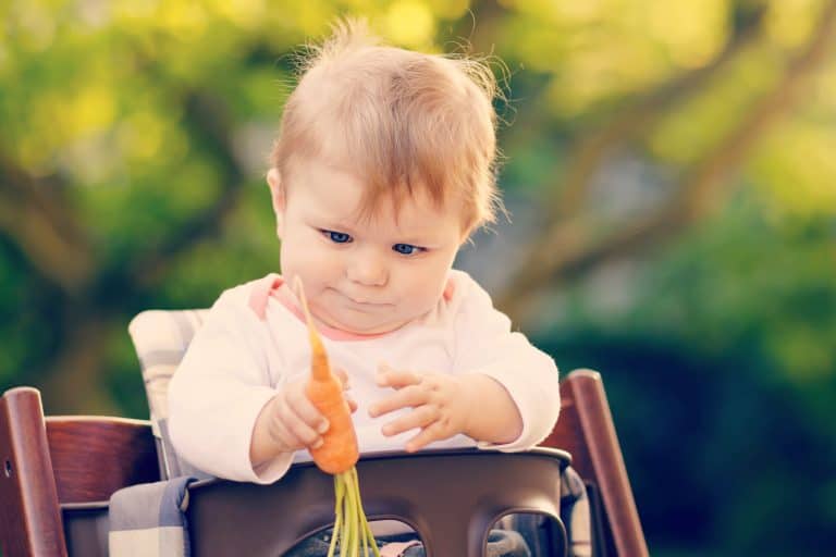 lograr que un niño coma de todo