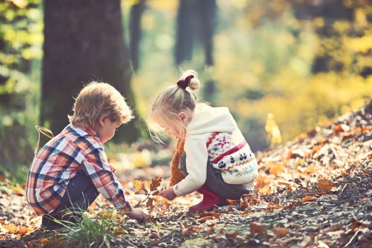 Childhood And Child Friendship. Children Pick Acorns From Oak Trees. Brother And Sister Camping In A
