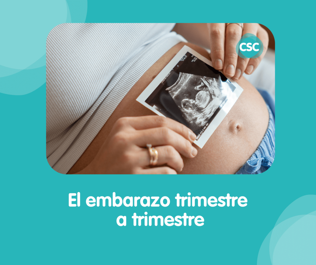 Screening prenatal hotsell 2do trimestre
