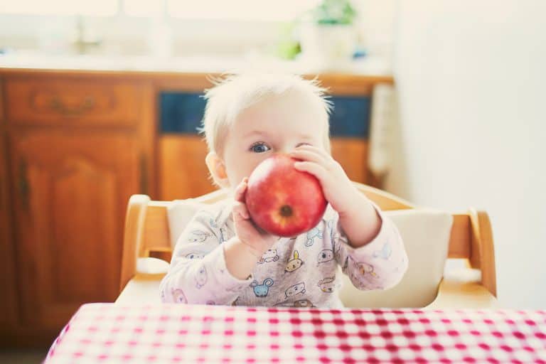 Cute Baby Girl Eating Apple In The Kitchen. Little Kid Tasting Solids At Home. Baby Led Weaning
