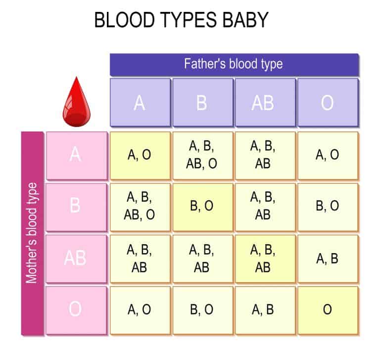 Cuál será el grupo sanguíneo y Rh del bebé? - Criar con Sentido Común