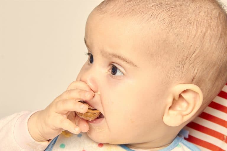 ¿Pueden tomar frutos secos los bebés y niños pequeños?