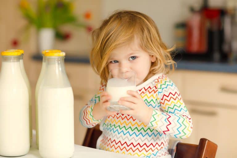 Los lácteos en la alimentación infantil