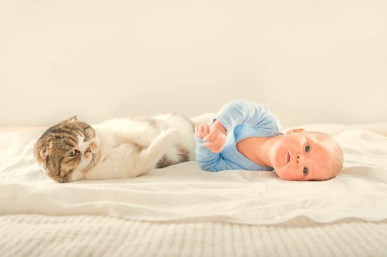 Bebés y gatos: hacerles convivir en armonía