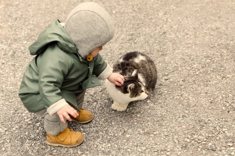 Bebés y gatos: hacerles convivir en armonía