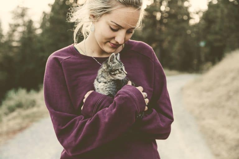 Bebés y gatos: hacerles convivir en armonía