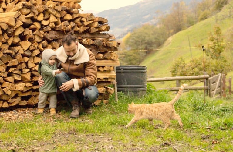 Bebés y gatos: hacerles convivir en armonía