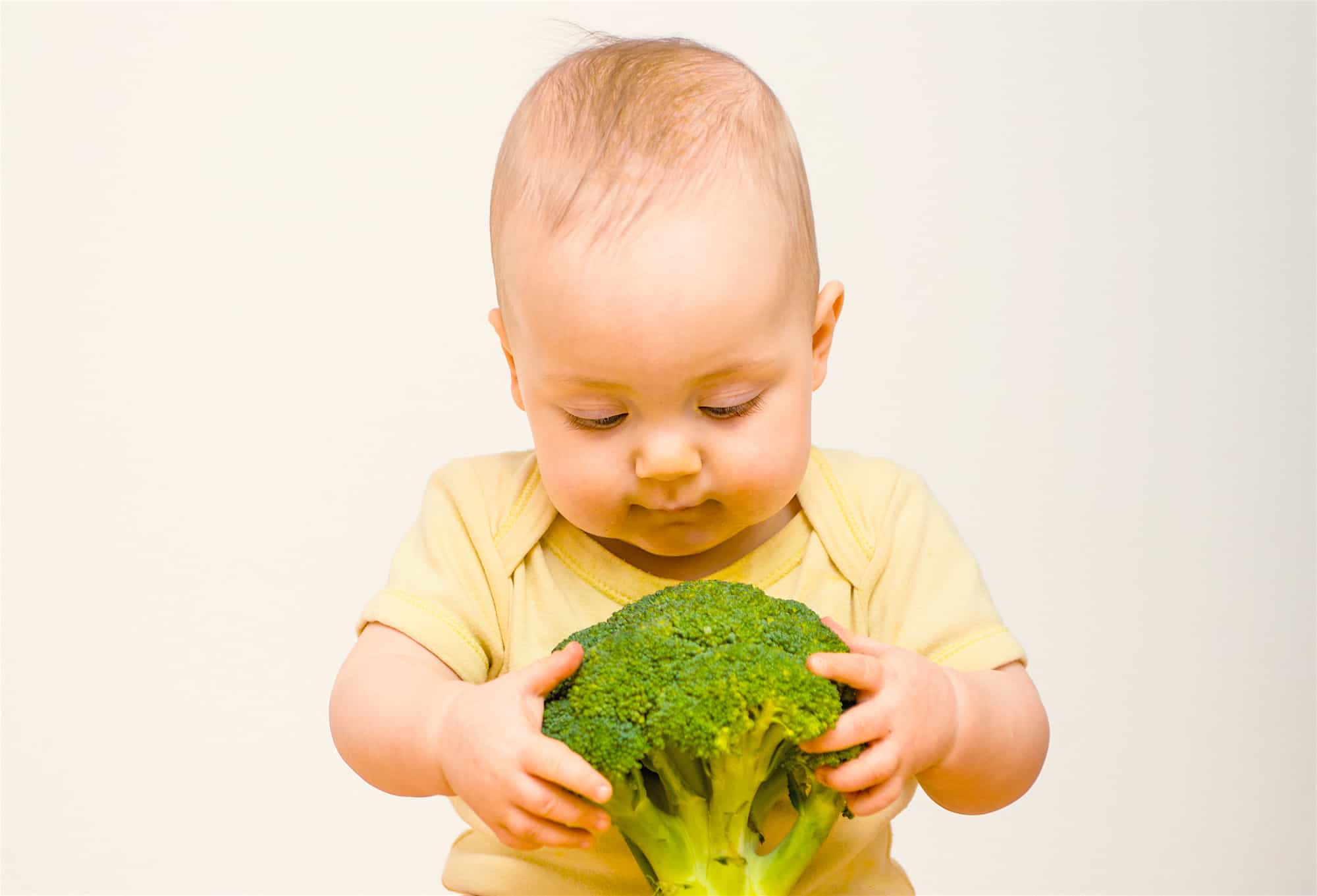 Guía BLW con vegetariana - Aflora Nutrición