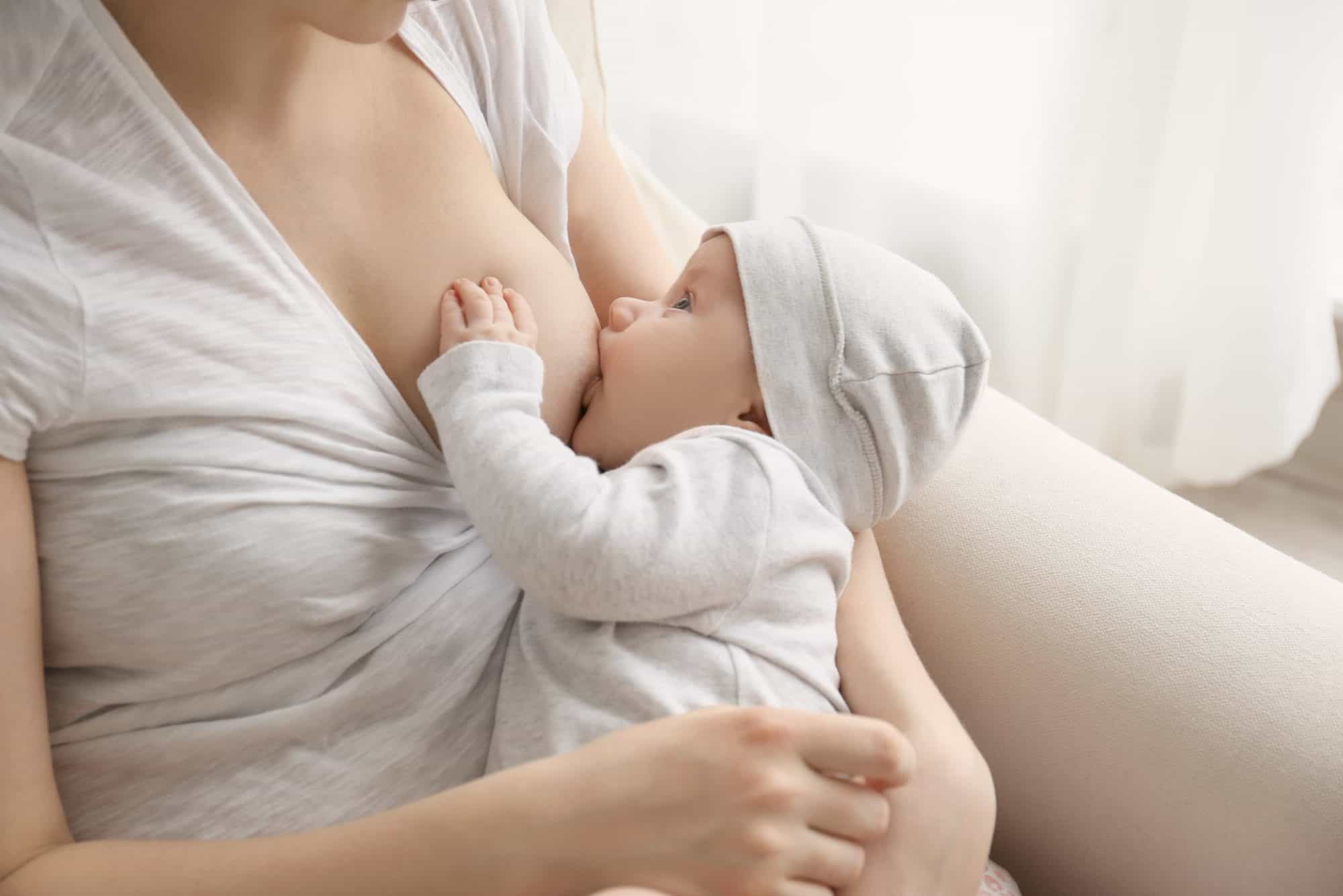 Guía lactancia materna