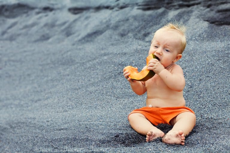 BLW en tupperware para llevar en verano