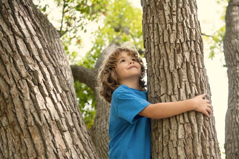 Actividades para niños sobre el cambio climático