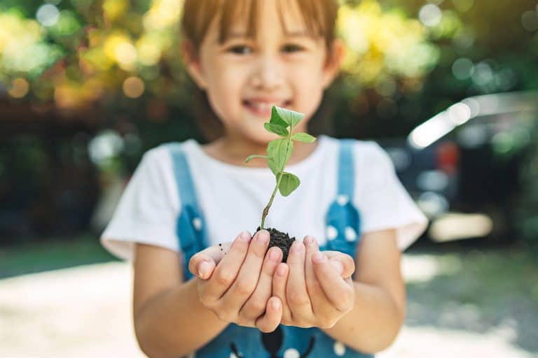 Actividades para niños sobre el cambio climático