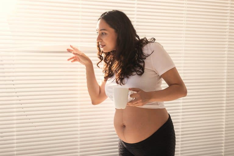 ¿Qué infusiones se pueden tomar en el embarazo?