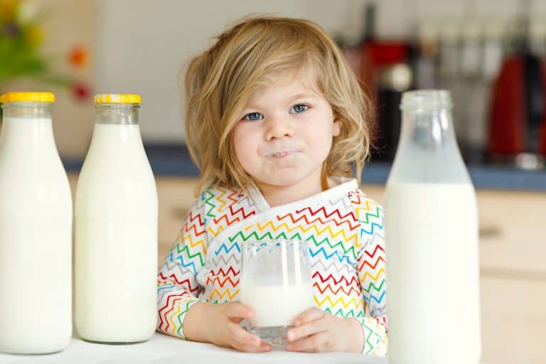 Alimentación a partir de los 12 meses: ¿Cuándo le damos la leche?