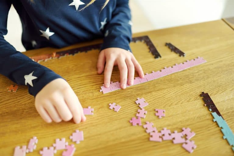 Tipos de puzzles y sus beneficios según la edad de los niños - CSC