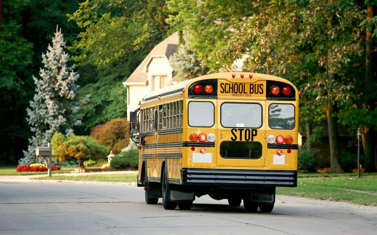 Ônibus escolar e crianças: Medidas de segurança