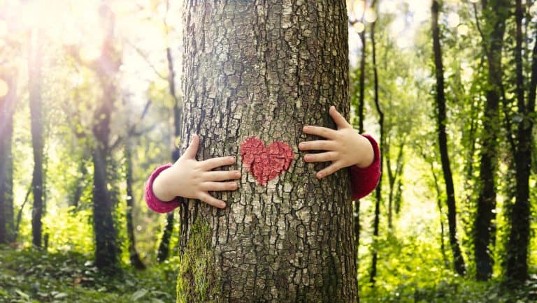 Día Internacional de los Bosques: Cuentos para crear conciencia ecológica