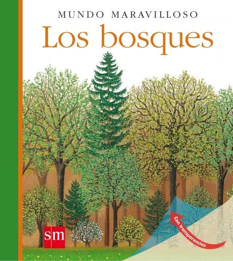 Día Internacional de los Bosques: Cuentos para crear conciencia ecológica