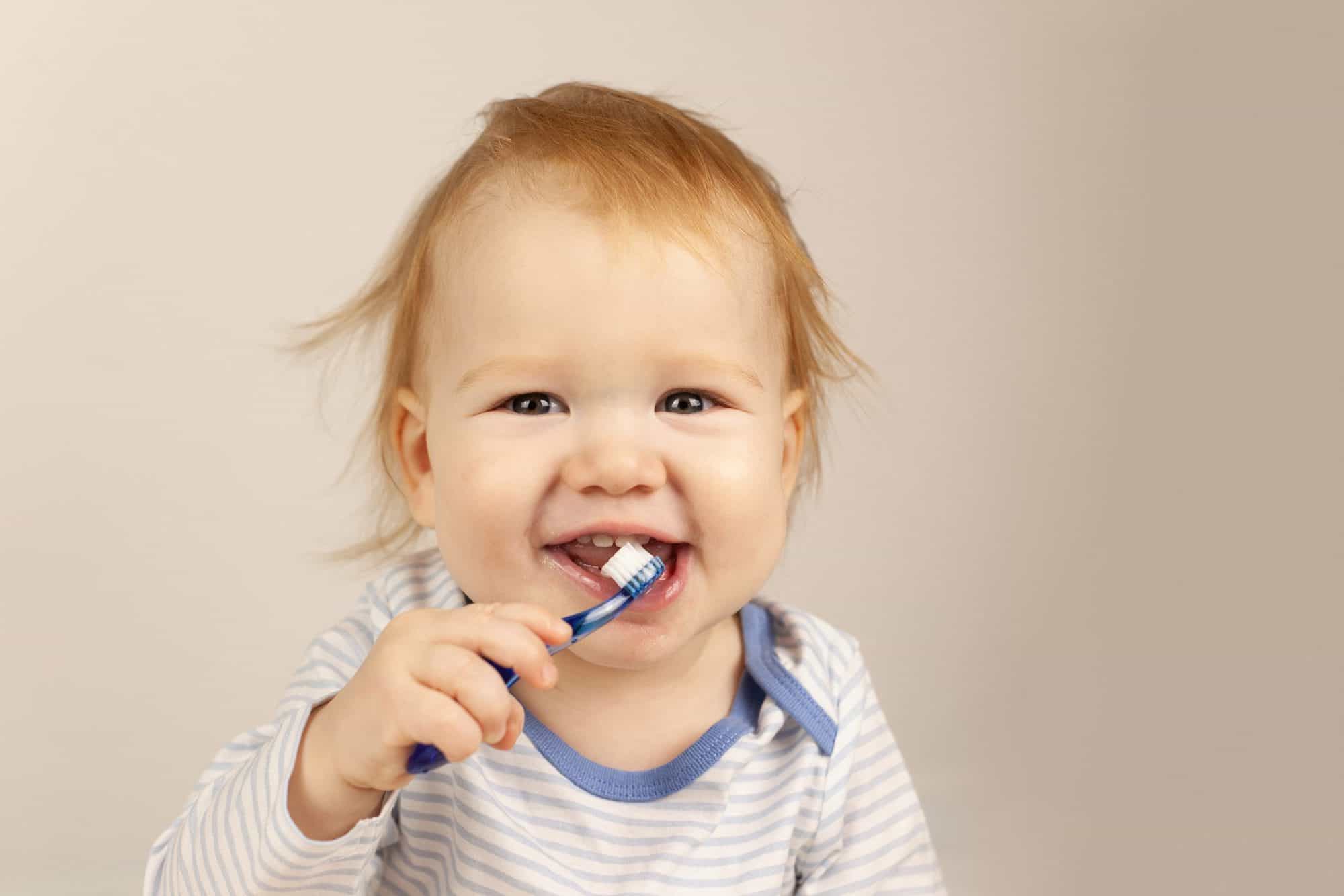 Guía del cuidado dental en bebés de 0 a 24 meses