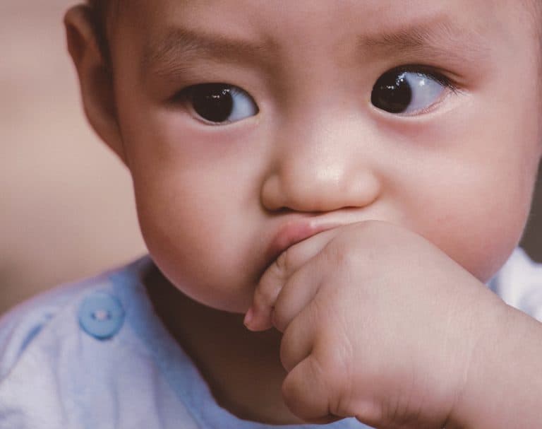 3 Recetas fáciles para bebés a partir de 6 meses