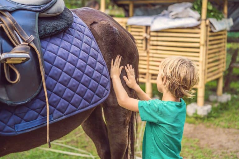 Beneficios de la equinoterapia para niños con trastornos