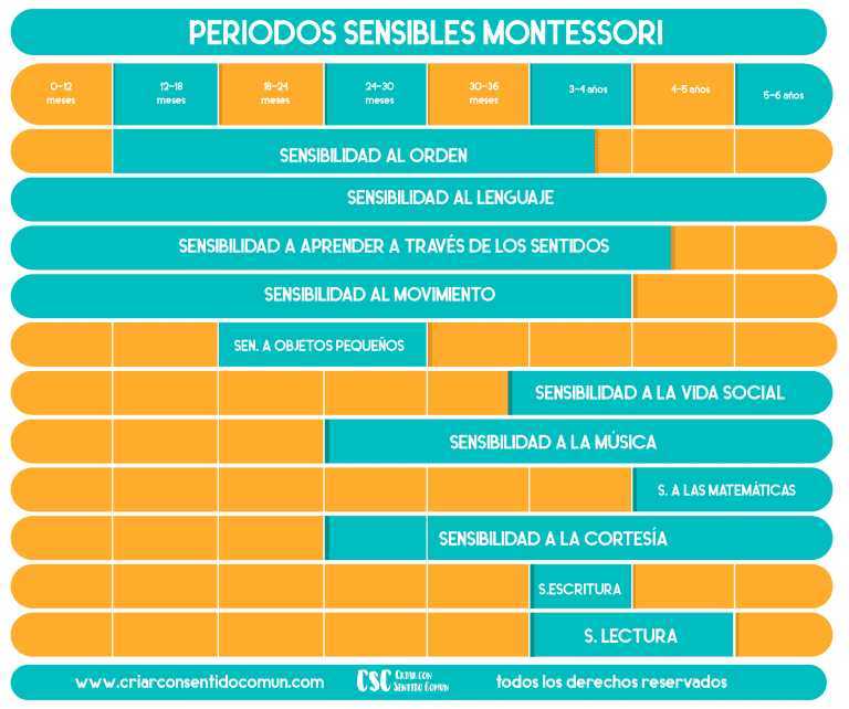 Libros para aprender sobre el método Montessori en la etapa 6 a 12