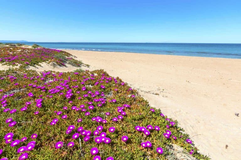 ¿Cuáles son las mejores playas para ir con niños?