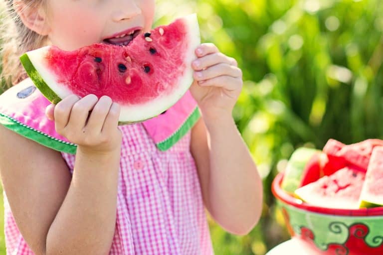 Meriendas saludables para niños para llevar