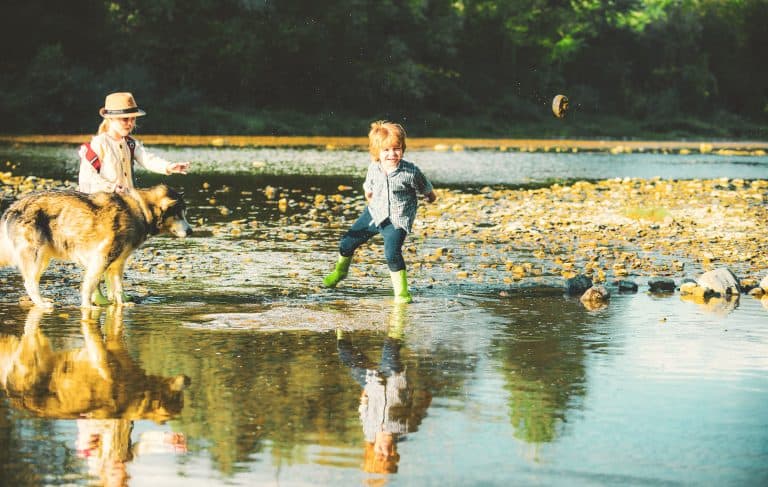 50 Planes para hacer en verano con niños