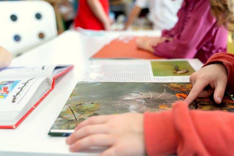 Becas y ayudas para el alumnado con necesidades específicas