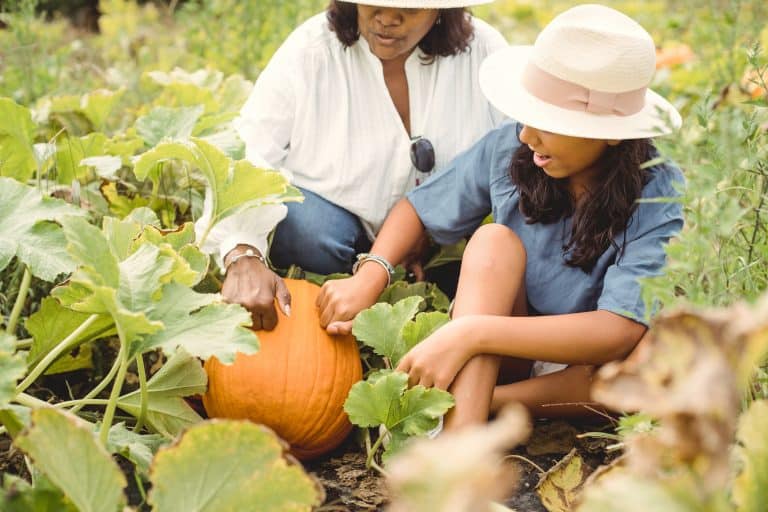 Recetas de otoño para niños