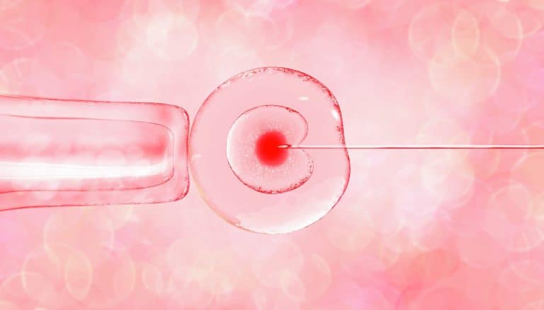 Infertilidad masculina: Ovocitos pequeños mejoran resultado de FIV