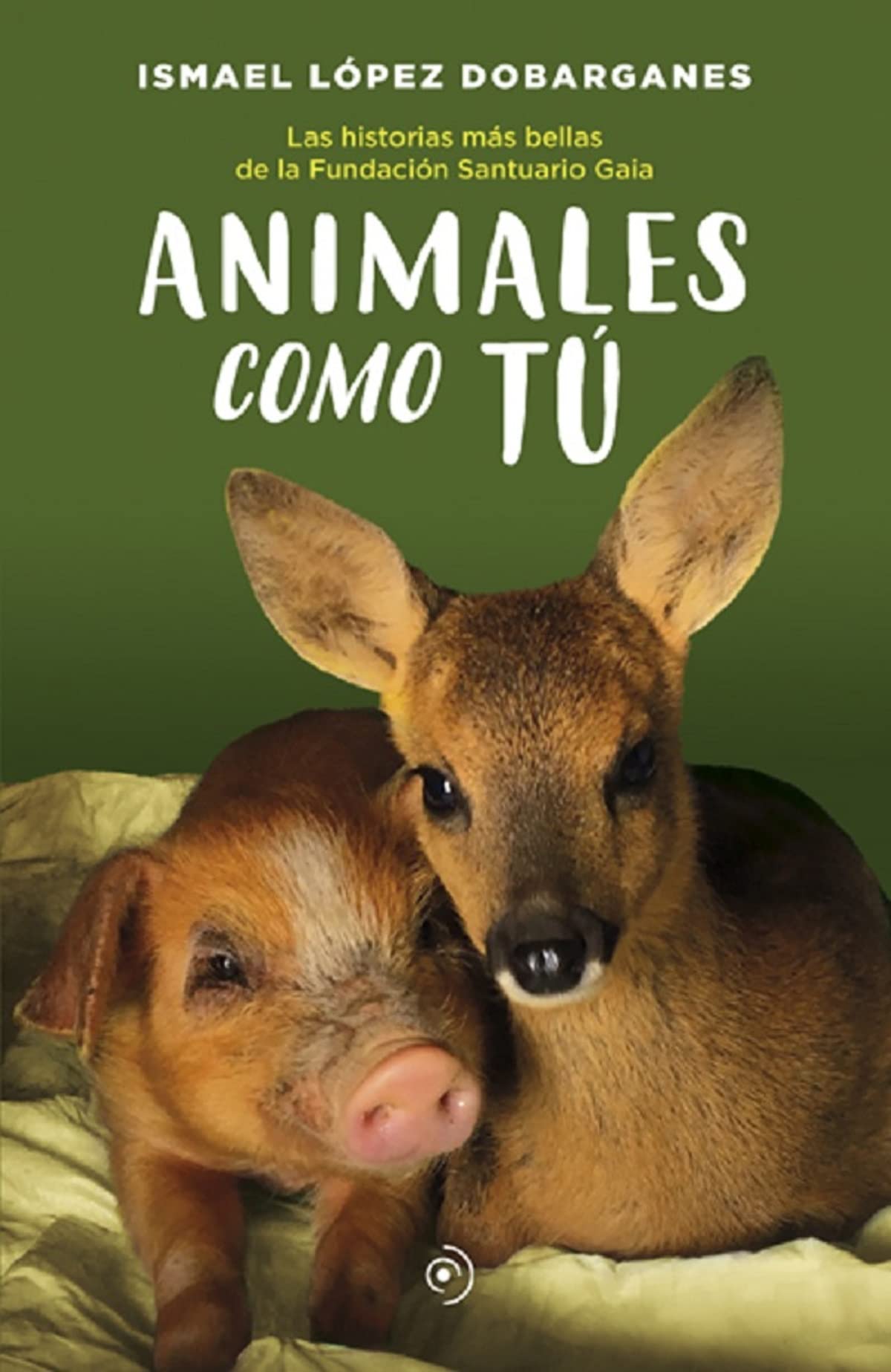 Los mejores cuentos de adopción de animales