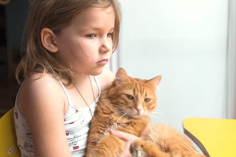 Enfermedad por arañazo de gato en niños