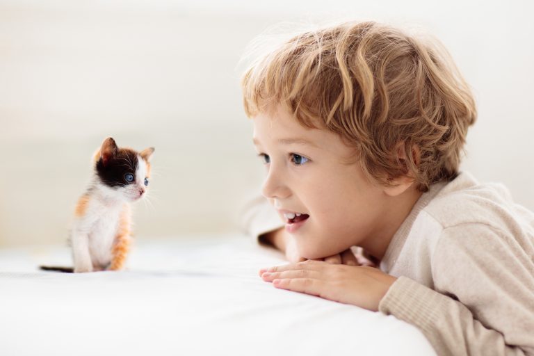 Cómo inculcar a los niños respeto y amor a los animales