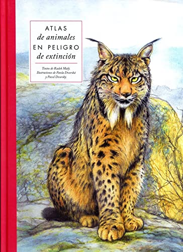 Cómo inculcar a los niños respeto y amor a los animales 