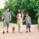 Ley de Bienestar Animal 2023: Cambios para las familias