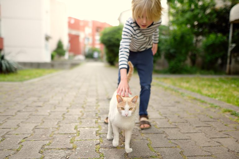 Ley de Bienestar Animal 2023: Cambios para las familias