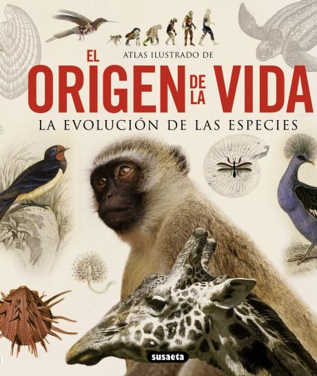 Darwin: Libros sobre evolución para niños