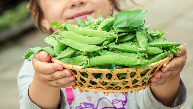 ¿Qué pasa cuando los niños comen mucha carne?