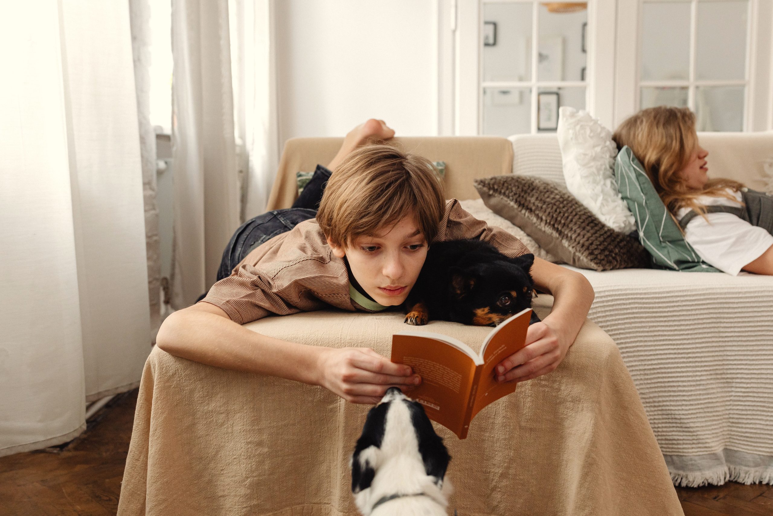 Día del Libro: ¿Cuáles son los mejores libros para adolescentes?
