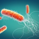 OMS alerta de resistencia a los antibióticos de última generación