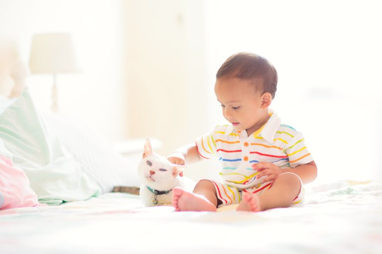 Perros y gatos previenen alergias alimentarias en bebés y niños