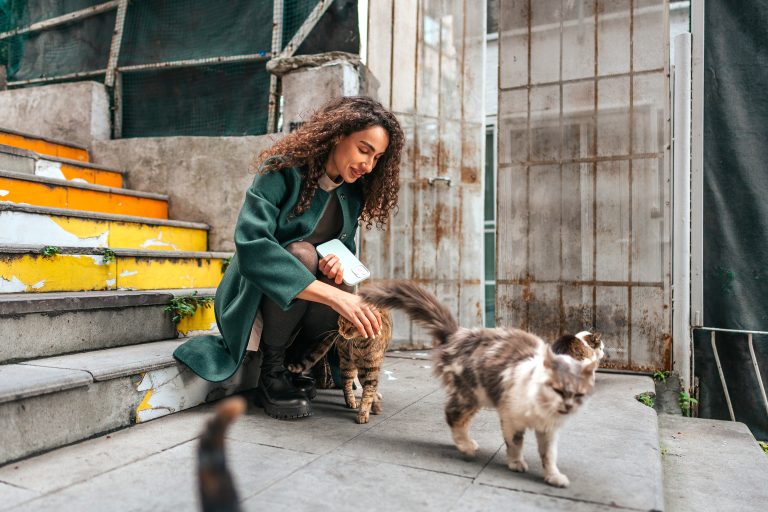 mujer pone escalera para gatos callejeros