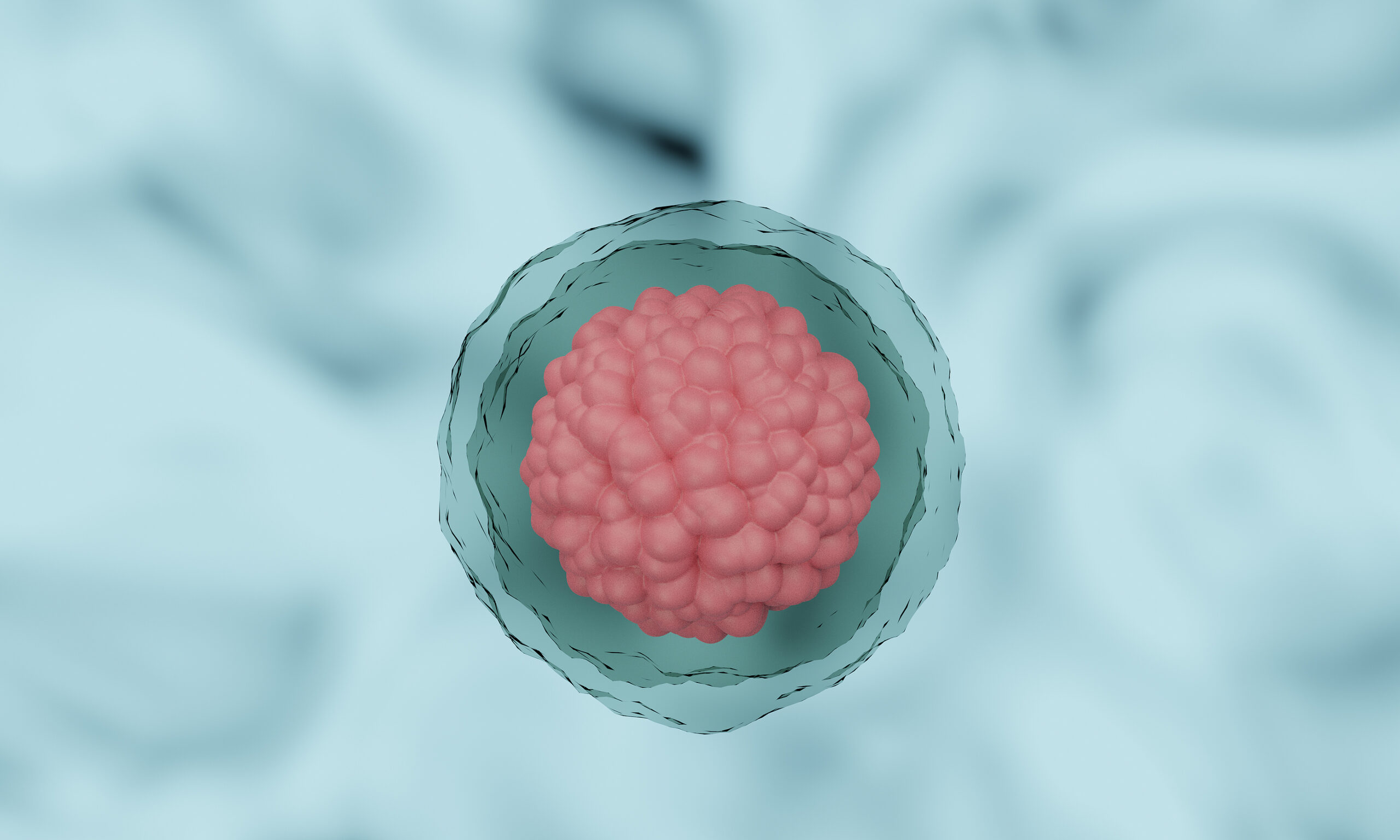 Células madre para replicar embriones humanos tempranos