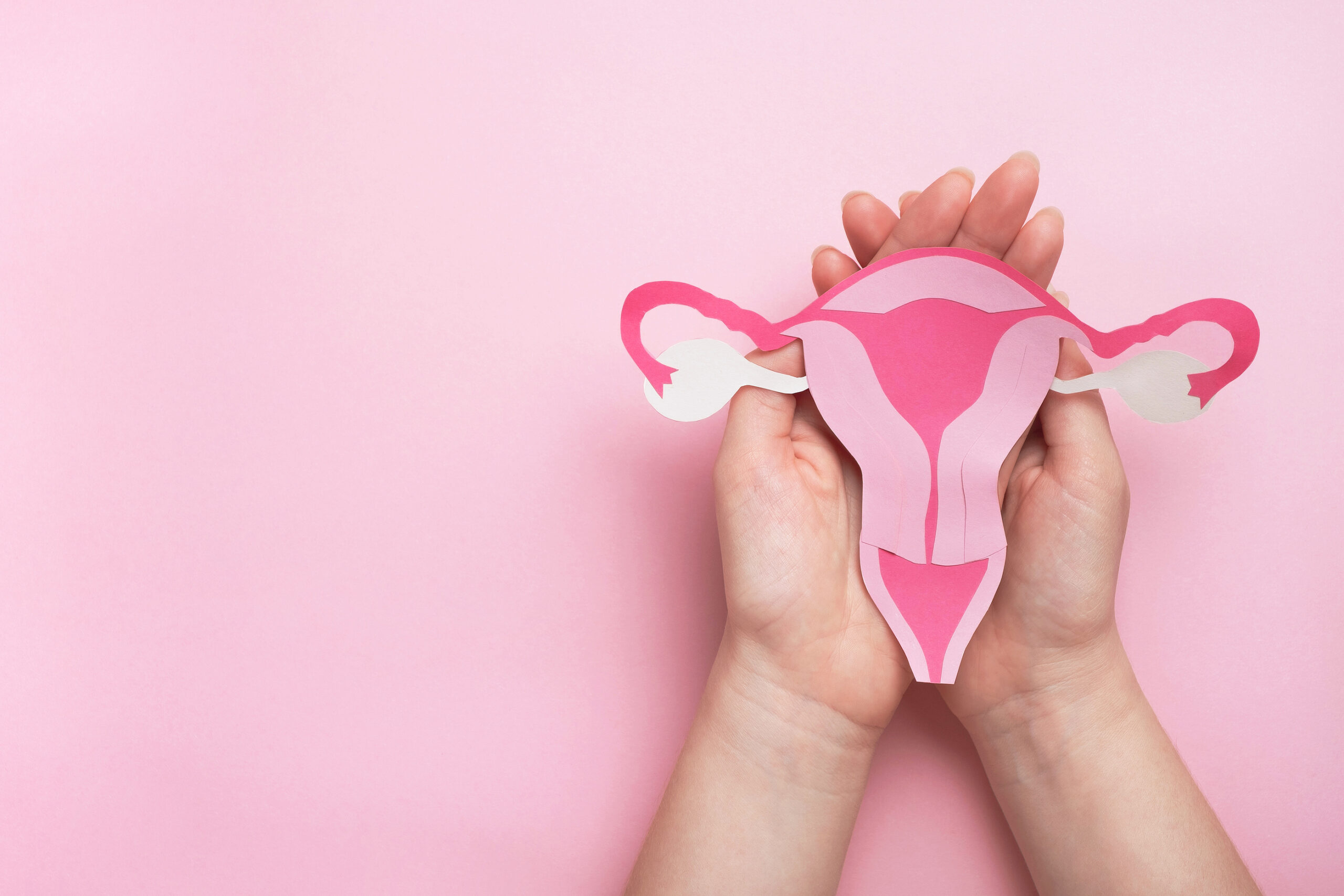 Fertilidad: Un gel que regenera el endometrio